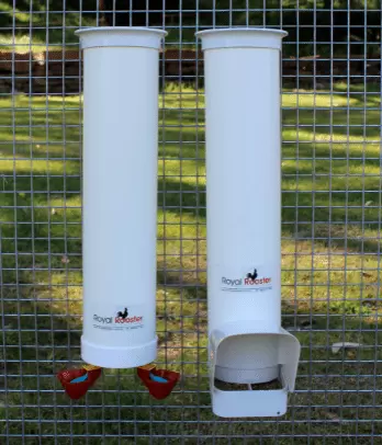 Two Waterers Drinkers Poultry Coop ROYAL ROOSTER Chicken 