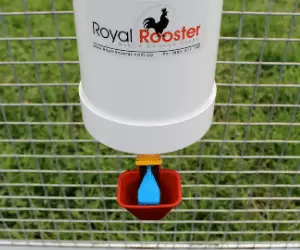 Drinkers ROYAL ROOSTER Chicken Two Waterers Poultry Coop 